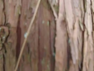 Stark meztelen japán kövér frog hölgy -ban a swamp hd